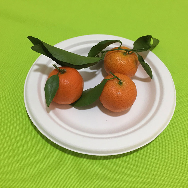 Rusija se pripravlja na prepoved plastične posode in jedilnega pribora za enkratno uporabo