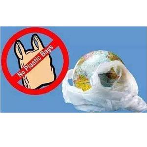 Hainan bo do leta 2020 prepovedal plastične vrečke za enkratno uporabo in posodo