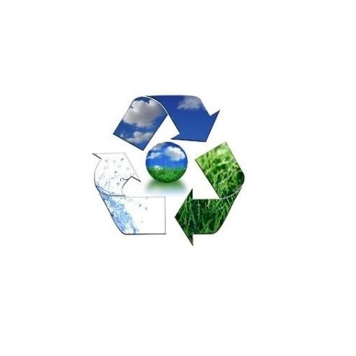Queensland prepoveduje plastične slamice in krožnike za enkratno uporabo, da bi rešil morsko življenje