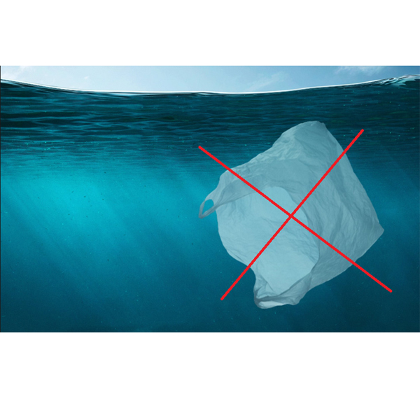 Južna Koreja prepoveduje plastične vrečke za enkratno uporabo