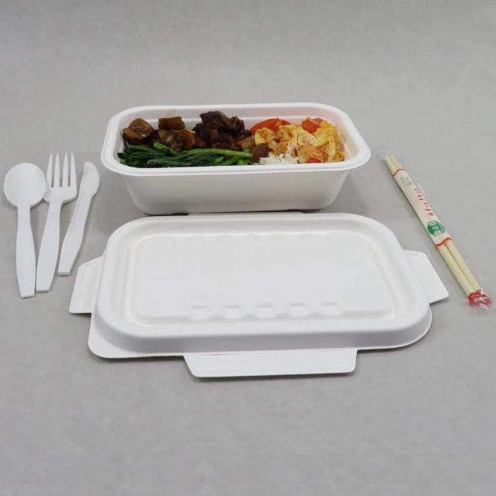 Konferenca o delitvi zabojev za namizni pribor Bagasse podjetja Shenglin Packaging