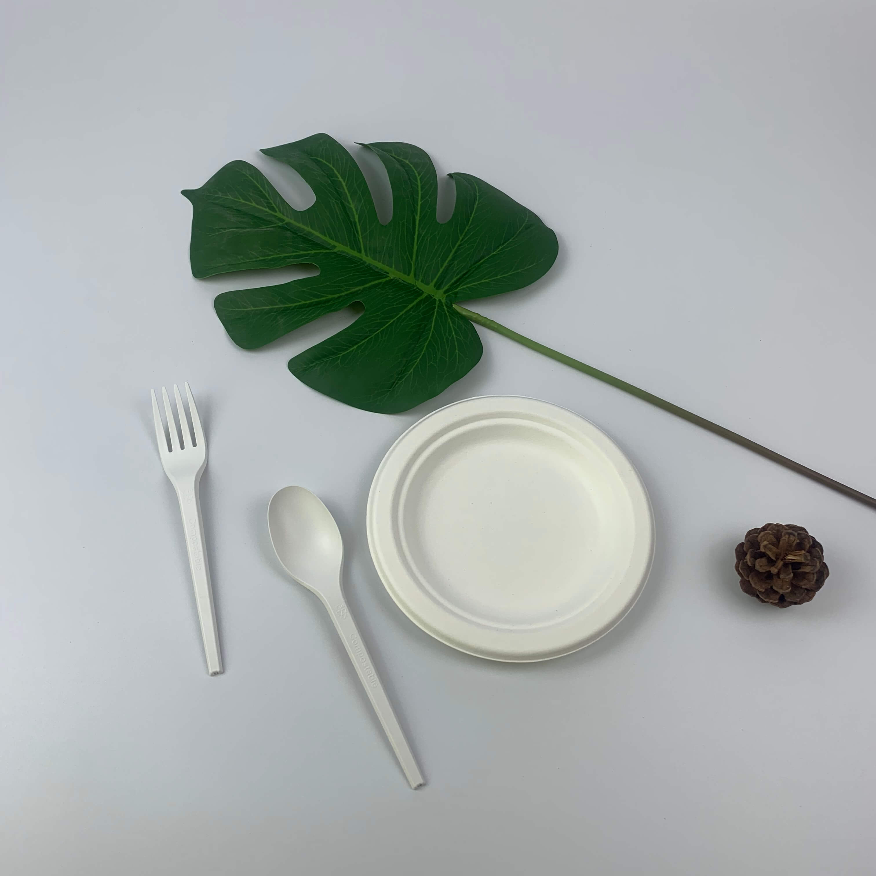 Bagasse se uporablja kot okolju prijazen material