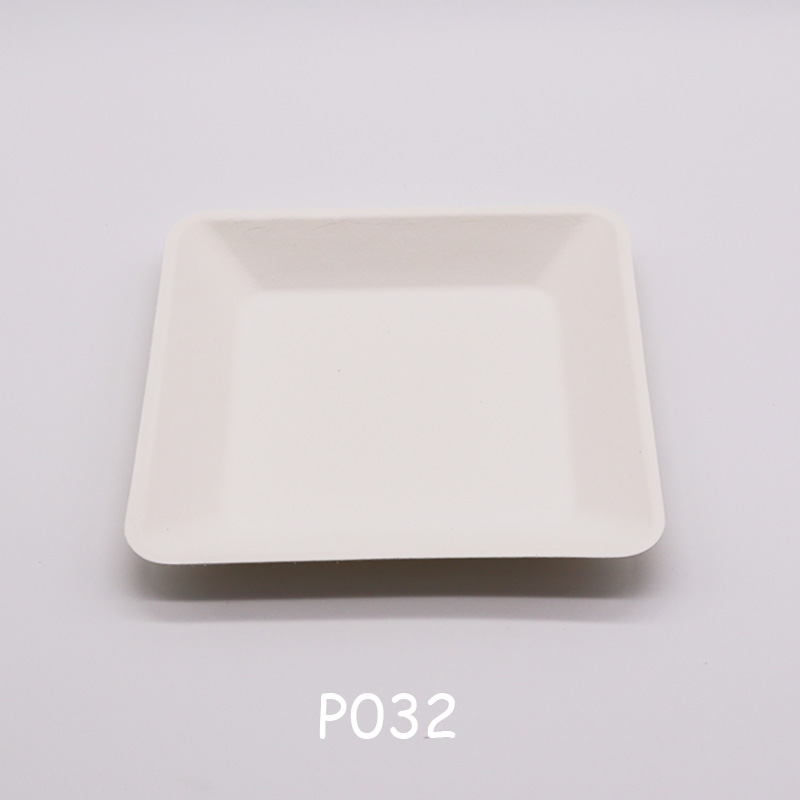 Sestava bagasse