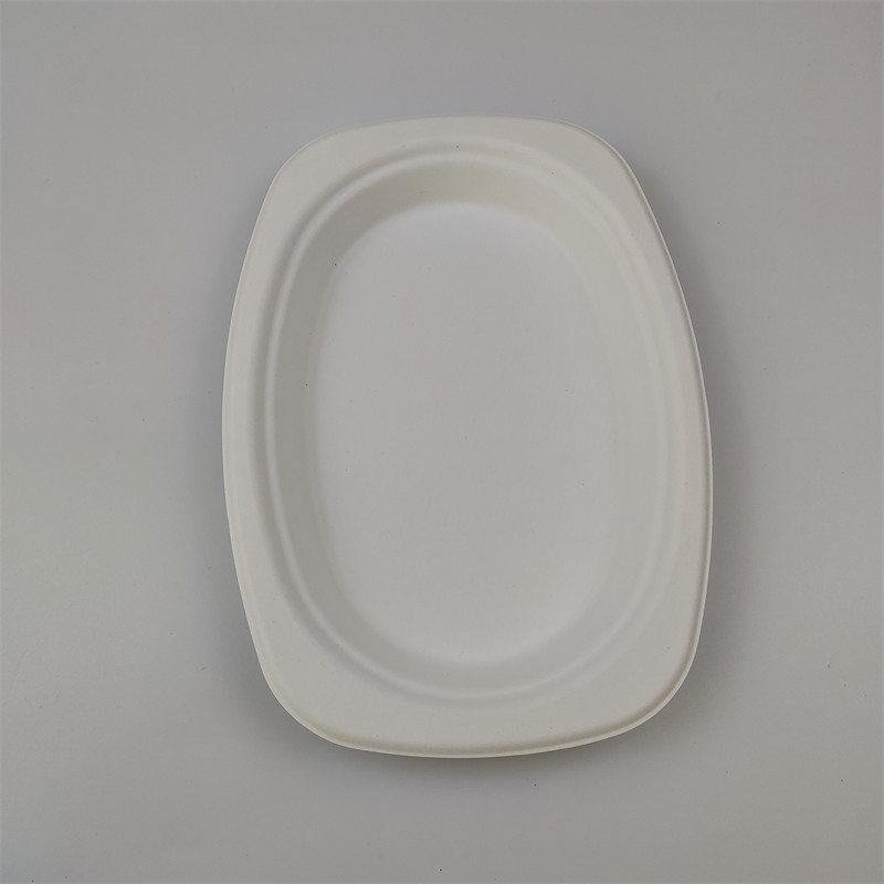 Ovalni krožnik za bagasse 9'' x 6''