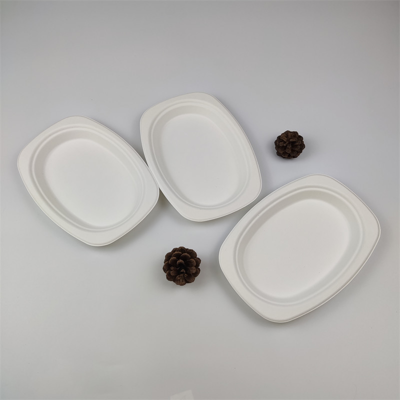 Ovalni krožnik za bagasse 9'' x 6''