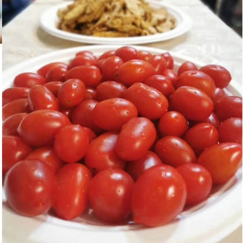 Krožniki za namizni pribor Fiber Pulp Bagasse