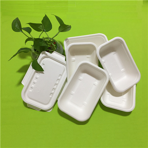 sugarcane bagasse tableware