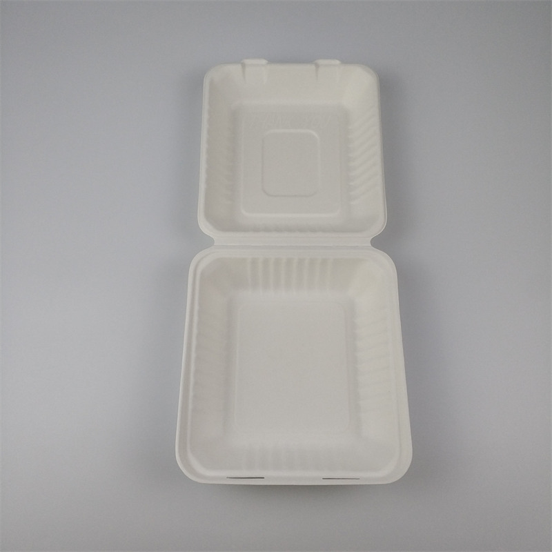 sladkornega trsa bagasse to go box